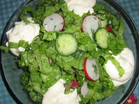 рецепт Зеленый весенний салат